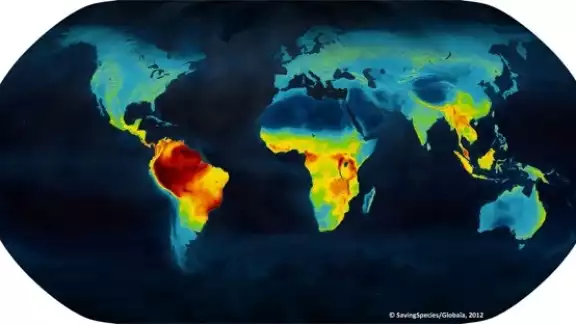 Las altas temperaturas se han sentido en gran parte del planeta Las altas temperaturas se han sentido en gran parte del planeta