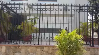 Gobierno de Yucatán evita que paguen de $4.3 millones de pesos anuales en pensiones ilícitas