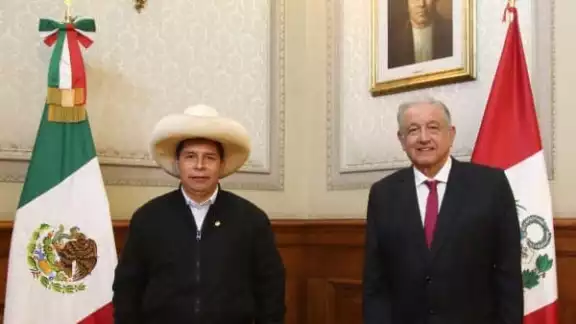 La carta fue entregada por Guido Croxatto, abogado de Pedro Castillo La carta fue entregada por Guido Croxatto, abogado de Pedro Castillo