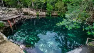 Cenote Casa Tortuga
