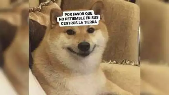 Después del susto vinieron las risas y los infaltables memes
