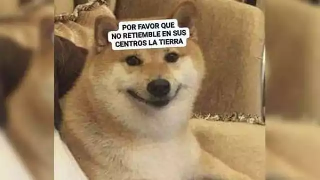Después del susto vinieron las risas y los infaltables memes