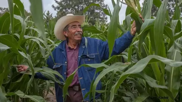 Semarnat y GIZ Mx lanzan herramienta para evaluar la implementación de medidas de GEI