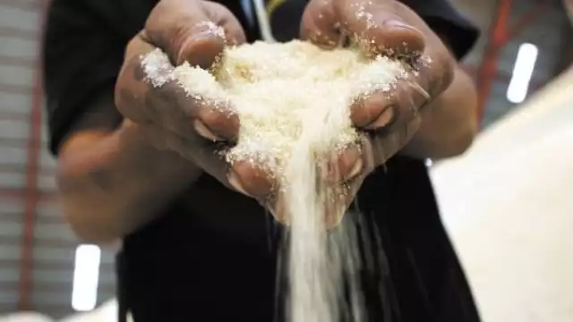 El cupo de exportación del azúcar que enviarán los productores mexicanos a Estados Unidos es de 657 mil 153 toneladas