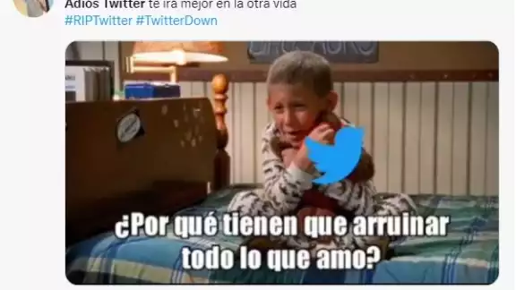 Usuarios le dicen adiós a la red social con memes tras conflicto de Elon Musk y sus empleados