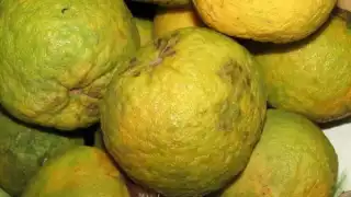 La naranja es uno de los frutos de temporada en septiembre