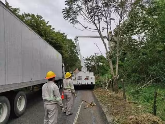 La Península de Atasta concentra el 93% de la deuda por robo de energía en Carmen, Campeche, con 35.6 millones de pesos de un total de 38.4 millones.