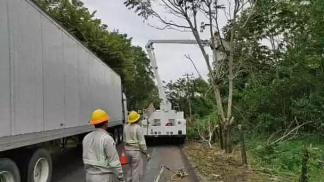 La Península de Atasta concentra el 93% de la deuda por robo de energía en Carmen, Campeche, con 35.6 millones de pesos de un total de 38.4 millones.