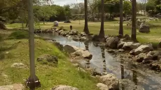 Estos son los parques de Mérida para visitar
