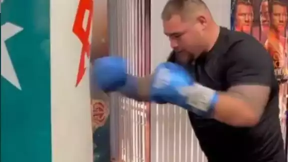 Andy Ruíz ya se prepara para enfrentar su próxima pelea Andy Ruíz ya se prepara para enfrentar su próxima pelea