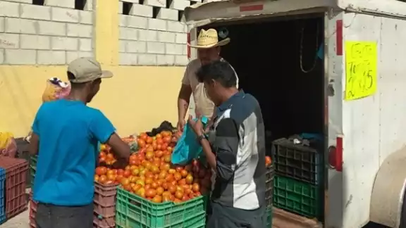 Los agricultores buscan que haya una porcesadora de limón en la region. Foto: Pedro Díaz