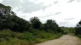 Más del 80% de los terrenos de inversión en Mérida se encuentran fuera de zonas urbanas