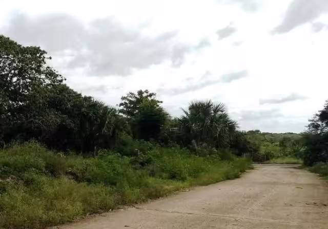 Más del 80% de los terrenos de inversión en Mérida se encuentran fuera de zonas urbanas