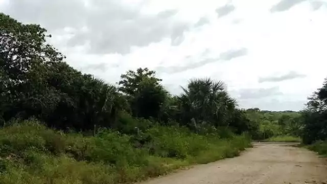 Más del 80% de los terrenos de inversión en Mérida se encuentran fuera de zonas urbanas