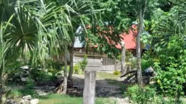 Al ser imputado en el delito de homicidio, la defensa había solicitado la ampliación del termino constitucional