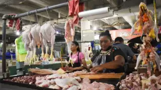 El objetivo de la Dinesa es disminuir el riesgo de diseminación de la enfermedad