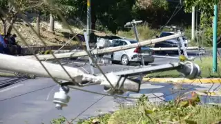 A la semana se reportan de 4 a 5 caídas de postes por colisión
