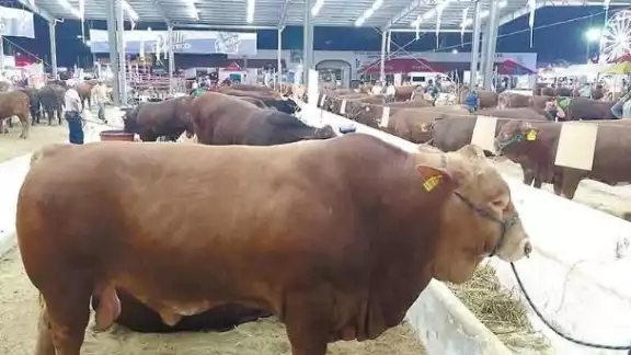 Se espera la presencia de productores de otros estados, como: Veracruz, Tamaulipas, Nuevo León, Chiapas, Tabasco, Campeche, Quintana Roo y Jalisco Se espera la presencia de productores de otros estados, como: Veracruz, Tamaulipas, Nuevo León, Chiapas, Tabasco, Campeche, Quintana Roo y Jalisco