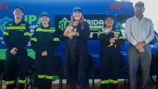 ¿Qué es la unidad de protección animal de Mérida y cuáles serán sus funciones? Dónde solicitarla y cómo