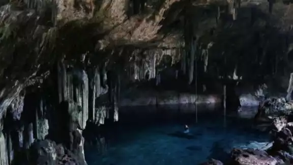 La industria porcícola necesita mucha agua, y Yucatán es uno de sus destinos predilectos