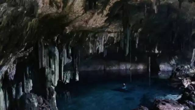 La industria porcícola necesita mucha agua, y Yucatán es uno de sus destinos predilectos