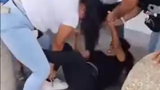 Una viajera nacional intentó separarlas, sin lograrlo