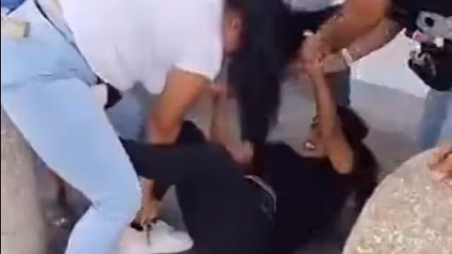 Una viajera nacional intentó separarlas, sin lograrlo