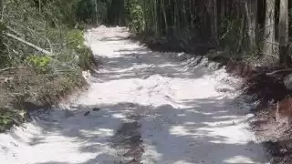 Algunos de los caminos sacacosechas en el municipio de José María Morelos no fueron rehabilitadas por los gobiernos estatal y municipal en años anteriores