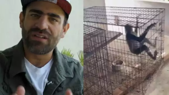 Arturo Islas arremete contra Carlos Joaquín por el secuestro de animales en Croco Cun Arturo Islas arremete contra Carlos Joaquín por el secuestro de animales en Croco Cun