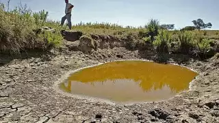 Hopelchén sin pozos ni jagüeyes para ganadería; acuífero pierde 70% de agua, advierte UNAM
