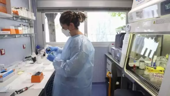 La OMS ha confiado en que la viruela del mono no se convierta en pandemia mundial La OMS ha confiado en que la viruela del mono no se convierta en pandemia mundial
