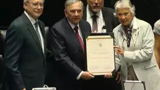 Varios senadores criticaron su nombramiento como Embajador