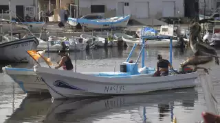 Analizan la entrega de apoyos a verdaderos pescadores de Yucatán
