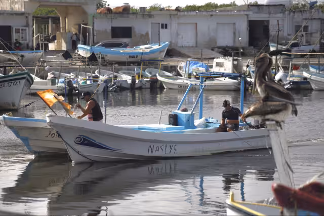 A pesar del panorama, los pescadores tienen confianza; más de 300 naves están operando.