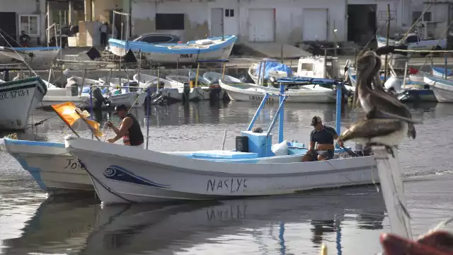 A pesar del panorama, los pescadores tienen confianza; más de 300 naves están operando.