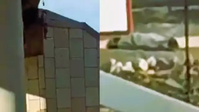 Varios cuerpos fueron hallados este lunes en Sonora. Foto: Capturas de pantalla