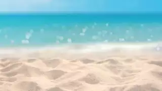 La arena blanca de Cancún es única en el mundo gracias a un pez