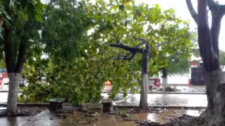 Fuertes lluvias causan destrozos en diversas zonas de Motul