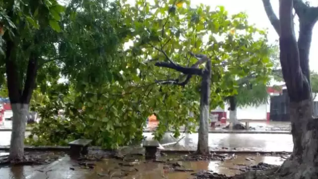 La tormenta eléctrica y lluvias continúan, pese a que los vientos han disminuido continúan provocando daños