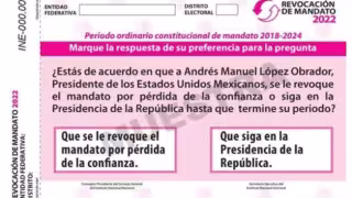 Habrá diferentes modalidades para levar acabo la recaudación de firmas, incluyendo por medio de aplicaciones en dispositivos móviles