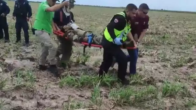 El único sobreviviente fue trasladado a un hospital. Foto: Captura de pantalla