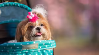 Me salieron las fuerzas de Hulk y pues que quiebro la puerta con unas patadas voladoras; dijo la mujer