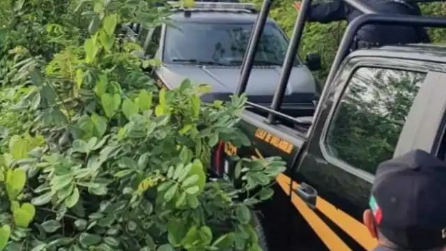 Se cree que la presunta novia de Juan Bautista sería la clave para dar con su paradero