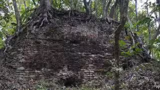 Noh Kah, ciudad maya devorada por la selva al sur de Quintana Roo