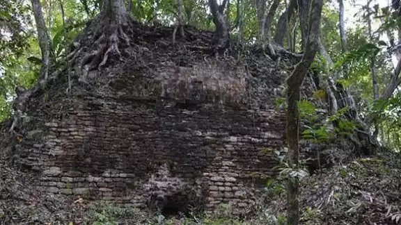 Escondida en medio de la selva de Quintana Roo, esta antigua ciudad maya es un núcleo urbano que tiene una extensión aproximada de 34 hectáreas Escondida en medio de la selva de Quintana Roo, esta antigua ciudad maya es un núcleo urbano que tiene una extensión aproximada de 34 hectáreas