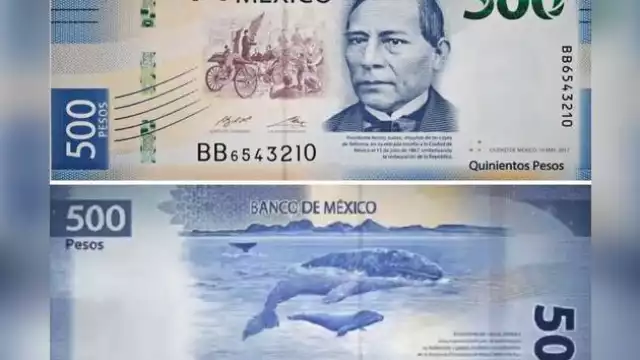 Una de las técnicas que usan las tiendas del lugar para checar si el billete es legal es ponerlo a contra luz