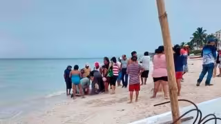 Se trata de los menores G.J.N.P de nueve años y S..N.P. de 14 años