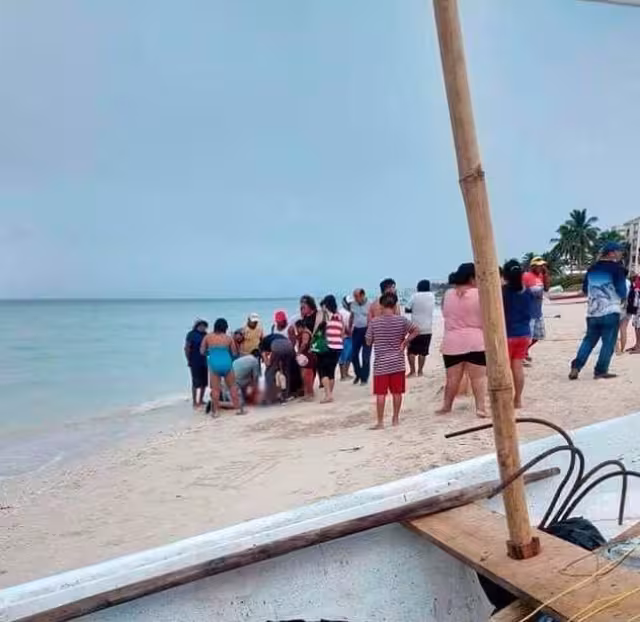 Se trata de los menores G.J.N.P de nueve años y S..N.P. de 14 años