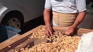 Carlos Matos aseguró que los productores sólo cuentan con 40% de su cosecha