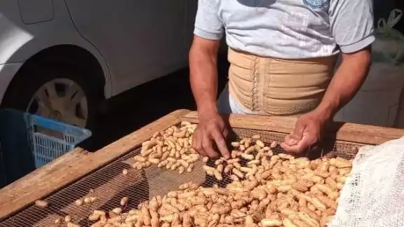 Carlos Matos aseguró que los productores sólo cuentan con 40% de su cosecha